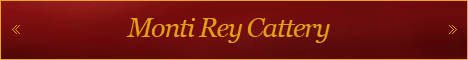 Monti Rey Cattery